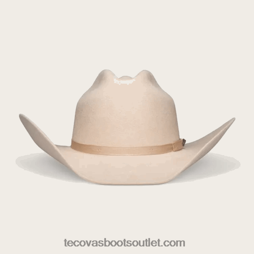 o fazendeiro Z4488X65 barriga prateada Tecovas