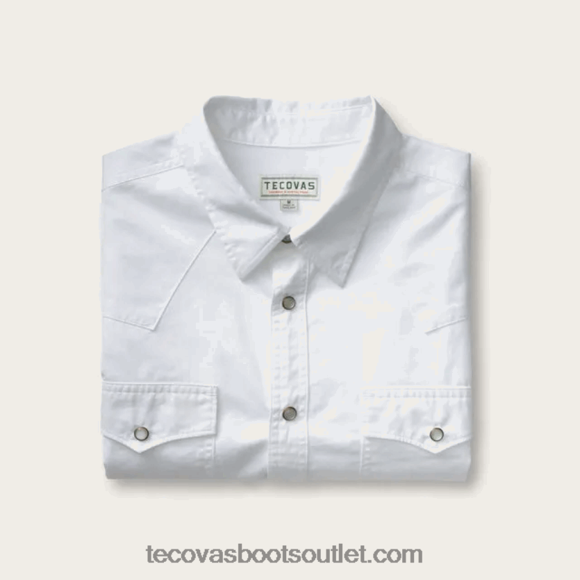 homens sarja de algodão pérola snap Z4488X43 neve Tecovas