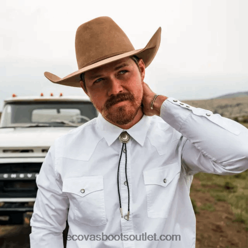 homens sarja de algodão pérola snap Z4488X43 neve Tecovas