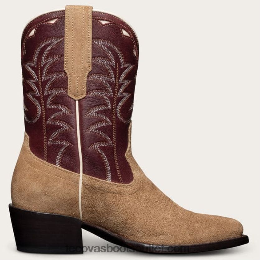 vinho de amêndoa bovina